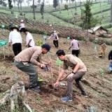 Perhutani KPH Pekalongan Barat Menjaga Kelestarian Nafas Hutan di Tengah Isu Lingkungan