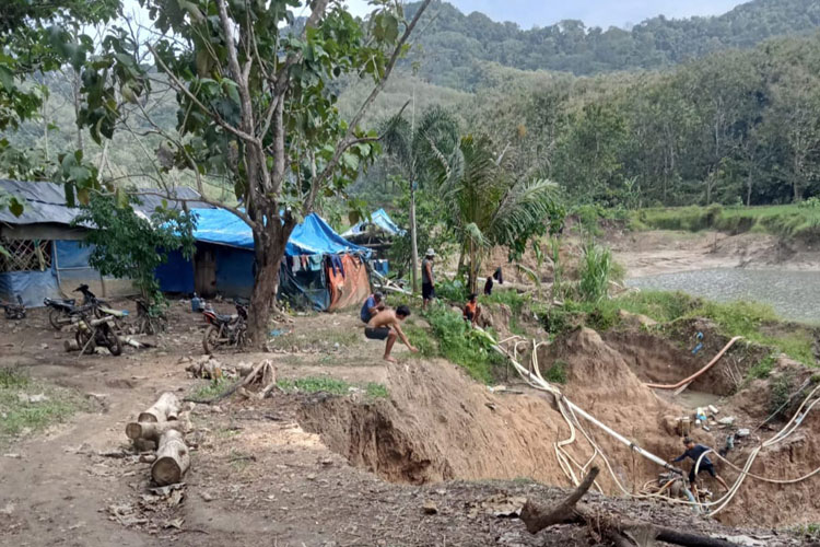 PETI Kian Marak di Gunung Manis Pesanggaran, Iklim Investasi Banyuwangi Terancam