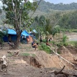 PETI Kian Marak di Gunung Manis Pesanggaran, Iklim Investasi Terancam