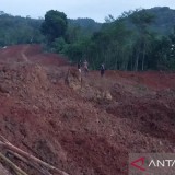 Korban Longsor Cilacap: 2 Tewas, 5 Selamat, 21 Masih Dicari Tim SAR