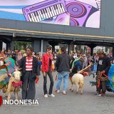Domba Fashion Carnaval Ramaikan Alun-alun Jember