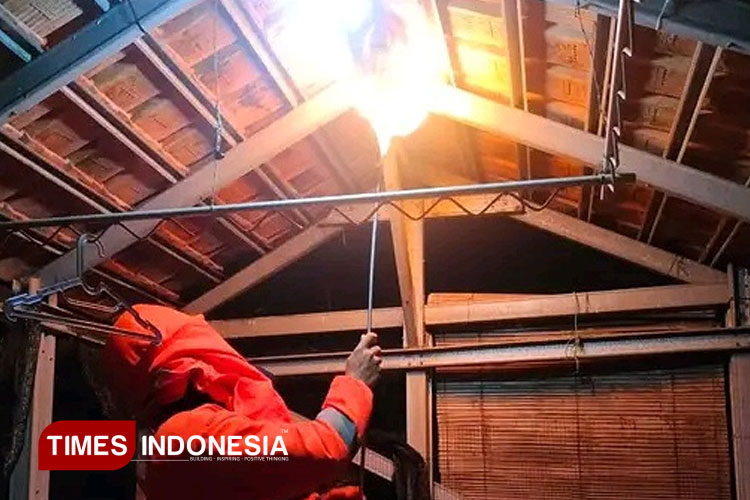 Penampakan Petugas Damkar Pemalang Mirip Astronot Saat Musnahkan Sarang Tawon