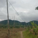 Kabel Listrik Berbambu Intai Warga Babakan Cibanteng Cianjur, Bahaya Sengatan Mengancam