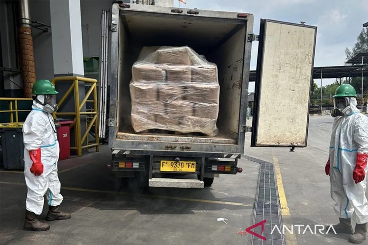 Pemusnahan 5,7 Ton Udang Terkontaminasi Cs-137, Satgas Terapkan Protokol Keamanan Lingkungan