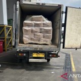 Pemusnahan 5,7 Ton Udang Terkontaminasi Cs-137, Satgas Terapkan Protokol Keamanan Lingkungan