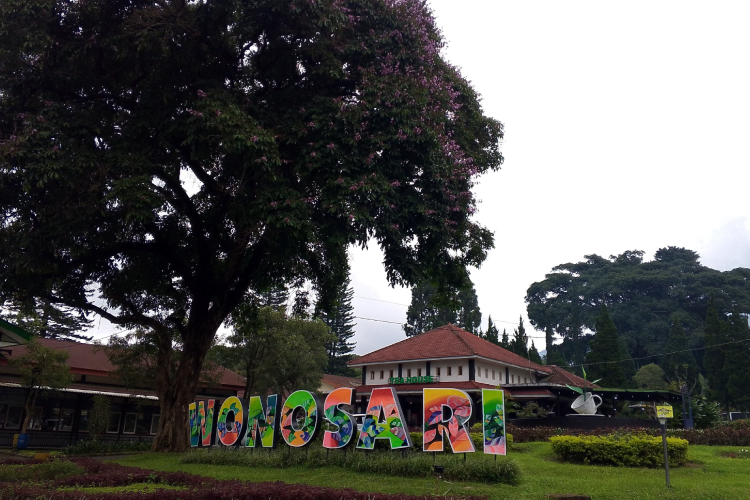 Nature’s Calm Awaits Visitors at Wonosari’s Scenic Tea Plantation