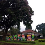 Discover Wonosari’s Calm Tea Trails on Arjuno’s Gentle Slopes