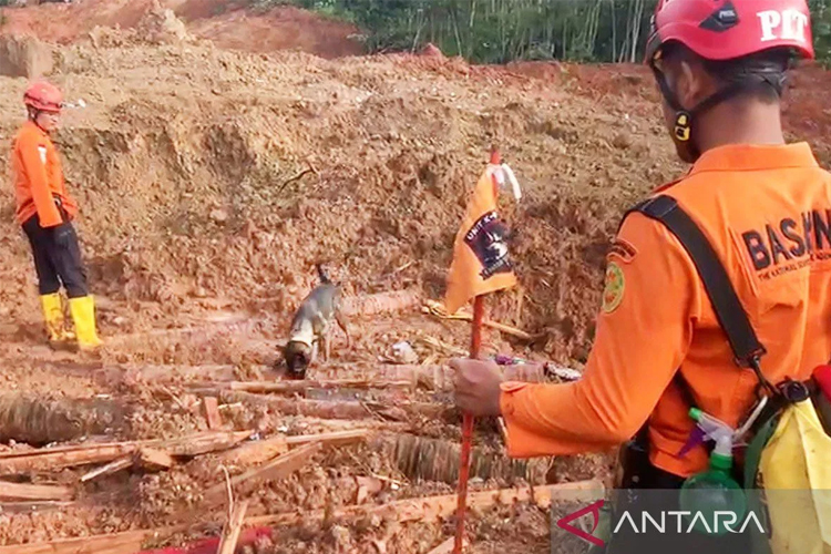 Longsor Cibeunying Cilacap, Tim SAR Hadapi Tantangan Kedalaman 8 Meter