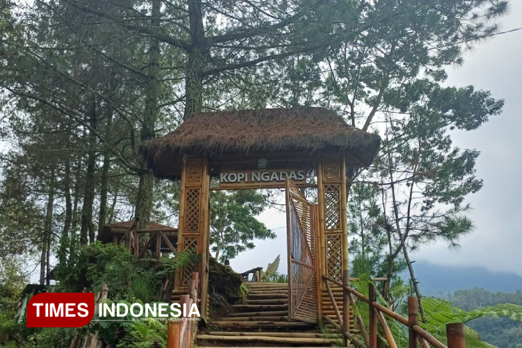 Kopi Ngadas: A Peaceful Coffee Spot Above the Clouds