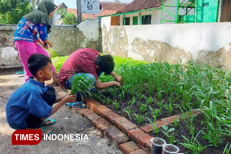 Inovasi Pembelajaran, SD di Madiun Tanam Kebiasaan Baik Lewat Kebun Sayuran