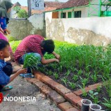 Inovasi Pembelajaran, SD di Madiun Tanam Kebiasaan Baik Lewat Kebun Sayuran