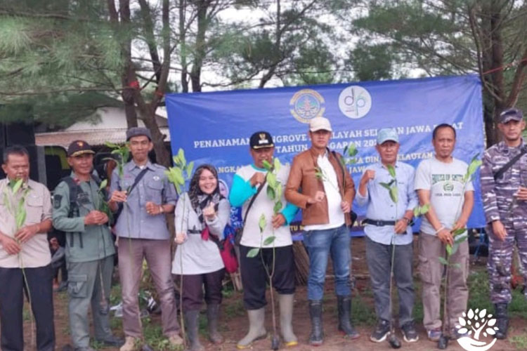 Aksi Tanam Mangrove di Cianjur, Perkuat Ekosistem Pesisir Pantai Selatan
