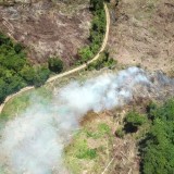 Arus Keuangan Global Dorong Deforestasi, Komitmen Hijau Indonesia di COP30 Terancam