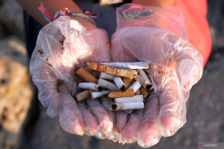 Peneliti BRIN: Puntung Rokok Harusnya Masuk Kategori Limbah B3