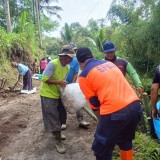 Plengsengan Jalan Penghubung di Poncokusumo Malang Ambrol