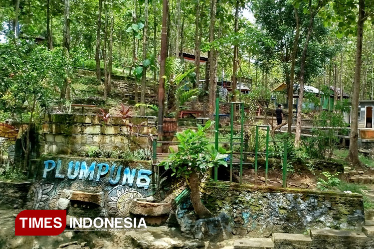 Pesona Wisata Taman Plumpung, Nuansa Hijau di Tengah Hutan Jati Blora