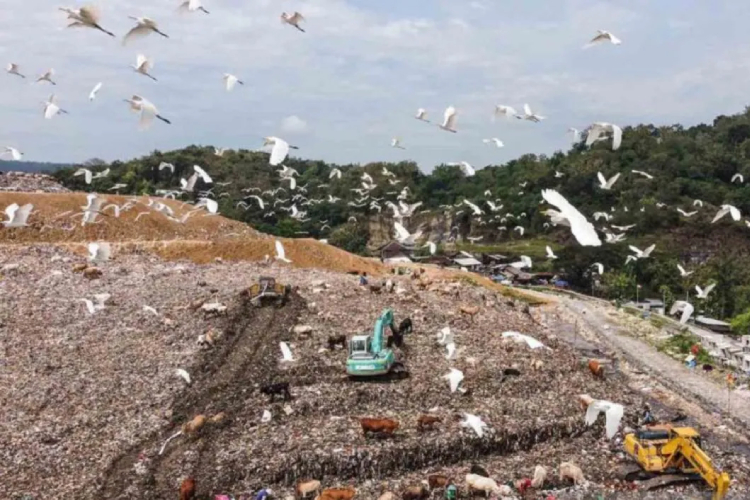 WtE Piyungan Siap Olah 1.000 Ton Sampah per Hari Jadi Listrik Terbarukan