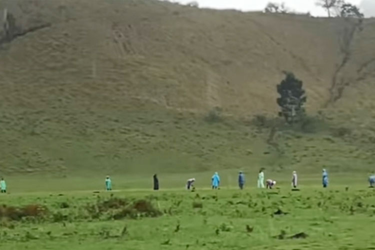 Viral, Padang Savana Kawah Wurung Bondowoso Ditanam Alpukat