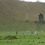 Viral Padang Savana Kawah Wurung Bondowoso Ditanam Alpukat