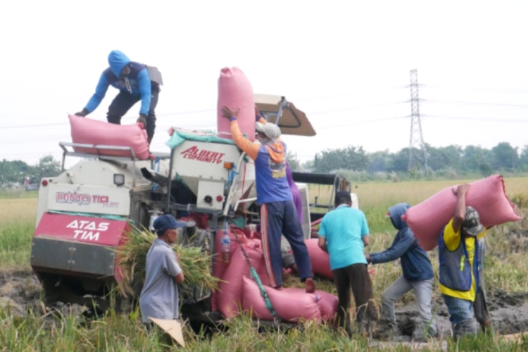 Fraksi Gerindra Soroti Ketahanan Pangan Sidoarjo