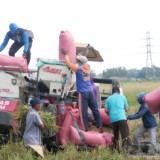 Fraksi Gerindra Soroti Ketahanan Pangan Sidoarjo