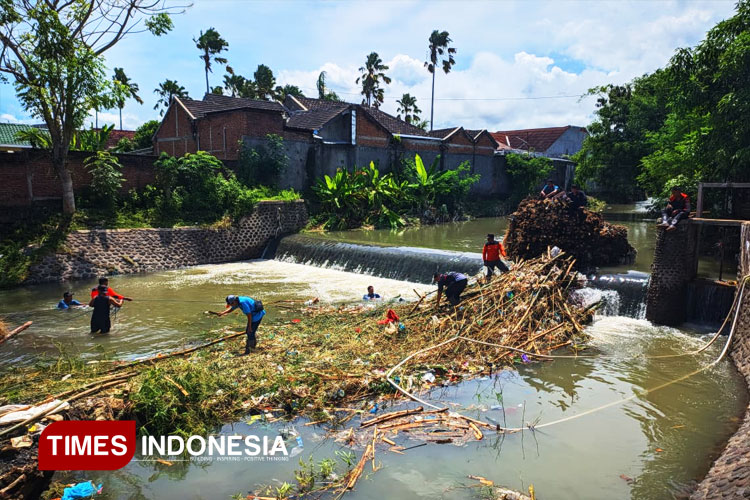 Cegah Banjir, Bambu di Sungai Bagong Banyuwangi Disterilkan