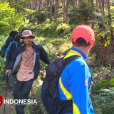 Tren Pendaki Pemula dan FOMO Meningkat, Wanapala Gelar Seminar Edukasi Aktivitas Mendaki sebagai Gaya Hidup Bijak dan Bertanggung Jawab