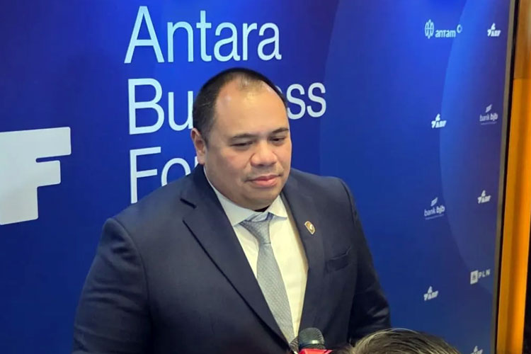 Ada Ketimpangan Besar dalam Kontribusi, Danantara Siap Perbaiki Struktur BUMN