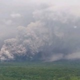 Gunung Semeru Erupsi, Awan Panas Meluncur 7 Km dari Puncak