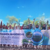 Hijaukan Pesisir, Jawa Power-YTL Tanam 5.500 Mangrove di Probolinggo-Situbondo