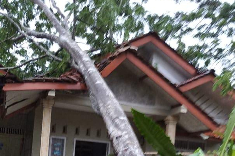 Akibat Hujan dan Angin Kencang, Pohon Tumbang Menimpa Rumah Warga di Rancah Ciamis
