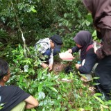 120 Mahasiswa Teliti Ekosistem Hutan Kondang Merak Kabupaten Malang