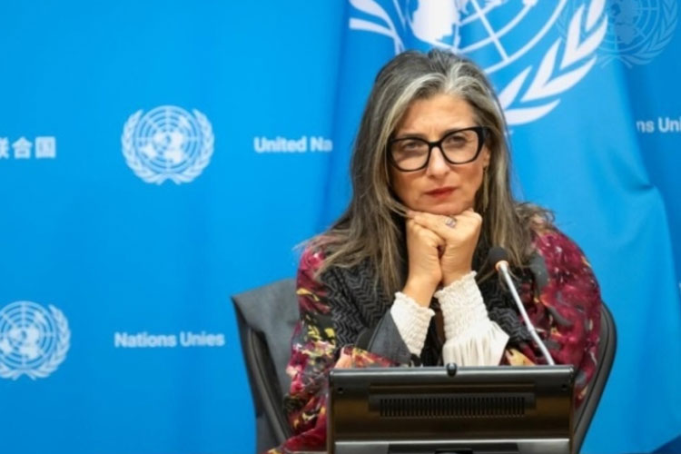 Pakar Memperingatkan Resolusi DK PBB Justru Memperkuat Pelanggaran Israel