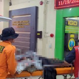 Pencari Burung yang Hilang di Gunung Malang Bondowoso Ditemukan dalam Kondisi Hipotermia