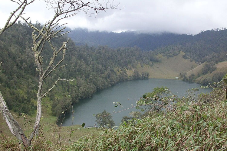 178 Orang yang Terjebak di Ranukumbolo Akibat Erupsi Gunung Semeru, Kini Dievakuasi Turun