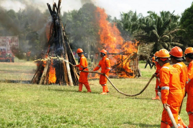 Sampoerna Jual Mayoritas Saham SGRO ke POSCO International