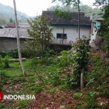 Pedagang Pasar Tulakan Tolak Relokasi, Disdagnaker Pacitan Pusing