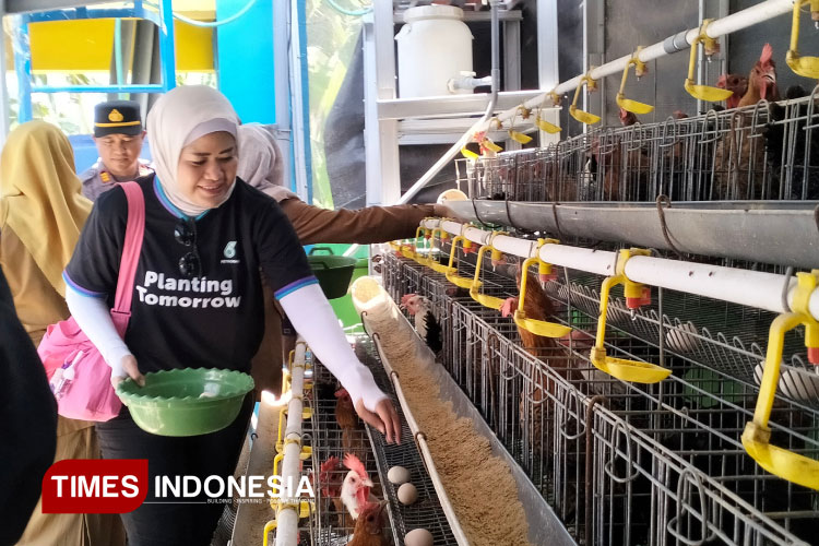 Dianggarkan Rp20 Triliun, Pemerintah Siap Bangun Pabrik Pakan Ternak