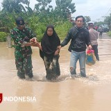 Banjir Kali Lamong Meluas, Enam Desa di Balongpanggang Gresik Terdampak