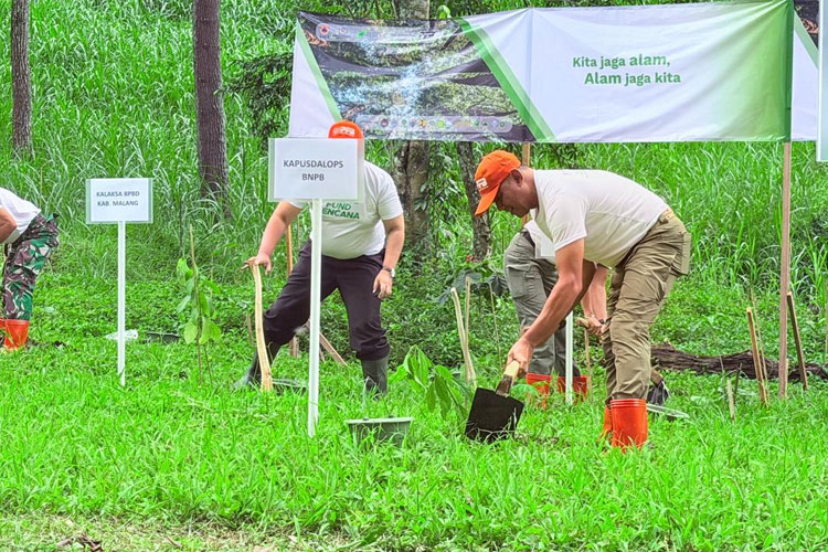Mitigasi Vegetasi dengan Tanam Pohon, Upaya Pengurangan Risiko Bencana Hidrometeorologi