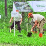Mitigasi Vegetasi dengan Tanam Pohon, Upaya Pengurangan Risiko Bencana Hidrometeorologi