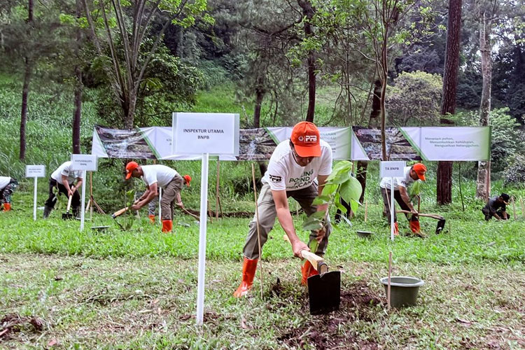 Penanaman-bibit-pohon-c.jpg