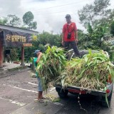 Darurat Erupsi Semeru, Pemkab Lumajang Distribusikan Bantuan Pakan Ternak