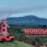 Kebun Teh Wonosari, Destinasi Camping Favorit dengan Panorama Gunung Arjuna