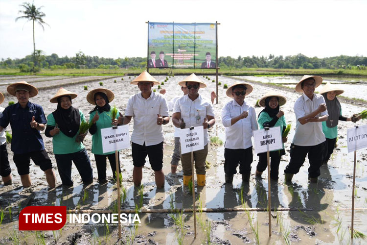 Kampung Peramalan OPT di Sleman Diharapkan Jadi Pusat Edukasi Petani