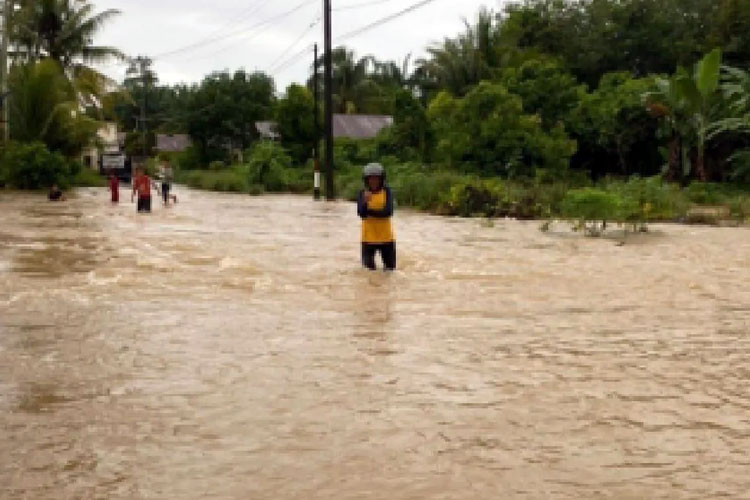 Banjir Tapanuli Tengah Rendam 1.902 KK, 45 Warga Mengungsi di 7 Kecamatan