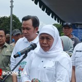 Jatim Target Swasembada Daging Sapi dalam 4 Tahun