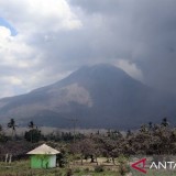Gempa Vulkanik Lewotobi Meningkat, Geologi Keluarkan Peringatan