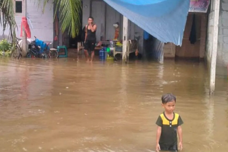 Banjir Rendam 3.698 Rumah di Aceh Timur, 5 Kecamatan Terdampak dengan Ketinggian Air 50 cm