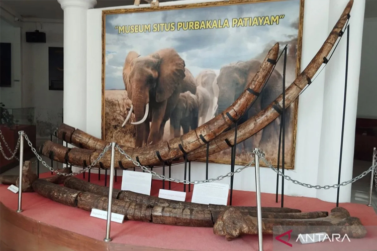 Lestari Moerdijat Dorong Rumusan Pengembangan Situs Patiayam Secara Kolaboratif